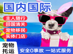 大连空运国际宠物托运 【国
